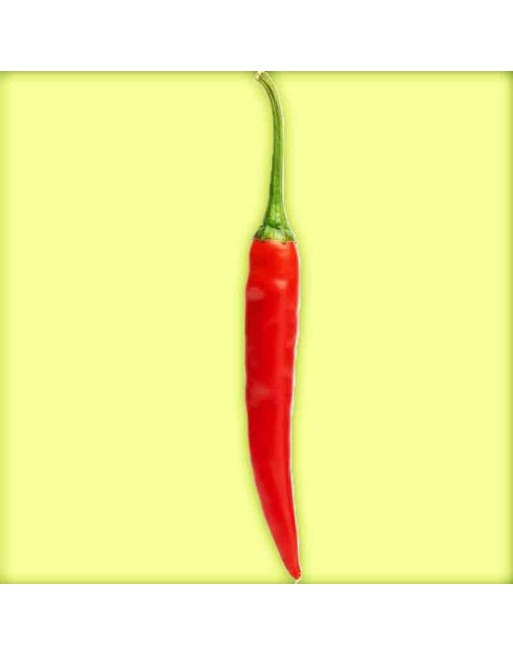Chile de Arbol, Mexican Pepper Seeds, Birds Beak, Rat's Tail, Tree Chili - [ Shop Canadian Seeds Online ]  - Pepper Seeds - 