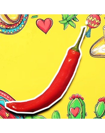 Mexican Chili Pepper, 6-12" Long Peppers Pepper Seeds - [ Shop Canadian Seeds Online ]  - Pepper Seeds - 