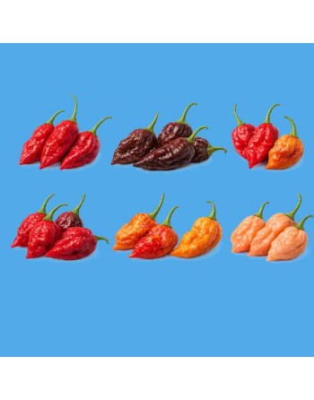 Naga Pepper Mix, Super Hot Pepper Seeds, Red, Chocolate, Peach, Morich, Tiger - [ Shop Canadian Seeds Online ]  - Pepper Seeds -