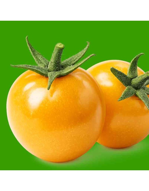 Mennonite Salad Cherry Tomato, Organic, Tomato Seeds - [ Shop Canadian Seeds Online ]  - Tomato Seeds - 