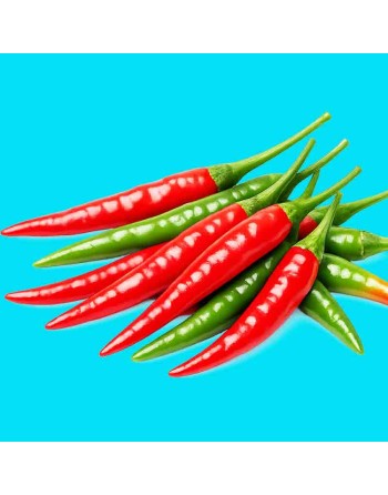 Thai Dragon Hot Pepper, Thailand  Pepper Seeds - [ Shop Canadian Seeds Online ]  - Pepper Seeds - 