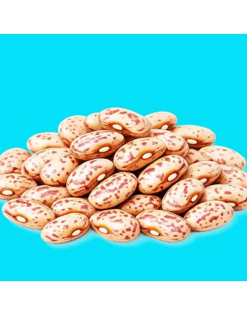Homestyle Creamy Pinto Bean Seeds, Bush Bean, Mexican Favorite - [ Shop Canadian Seeds Online ]  - Bean/Pea - 