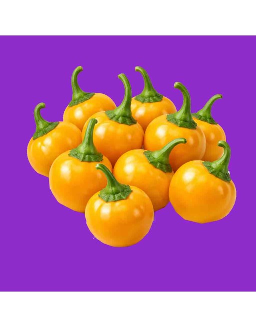 Demon Gold Cherry Pepper, Ornamental Mild to Hot Pepper Seeds, Asian - [ Shop Canadian Seeds Online ]  - Pepper Seeds - 