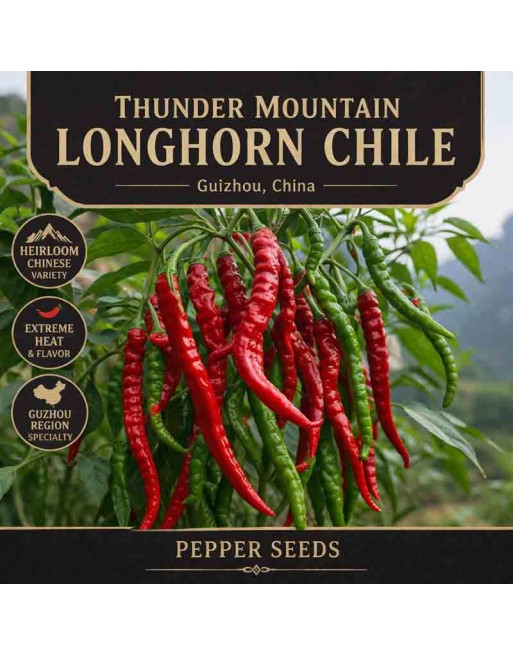 Thunder Mountain Longhorn Chile, Guizou, China  Pepper Seeds - [ Shop Canadian Seeds Online ]  - Green Chili Peppers - 
