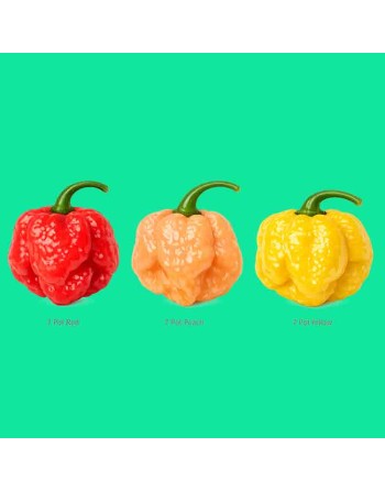 7Pot Pepper Blend: Peach, Red, Yellow, Super Hot Pepper Seeds - [ Shop Canadian Seeds Online ]  - Pepper Seeds - 