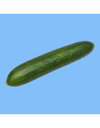 Marketmore 76 Pickling Cucumber, Cucumber Seeds - [ Shop Canadian Seeds Online ]  - Cucumber - 