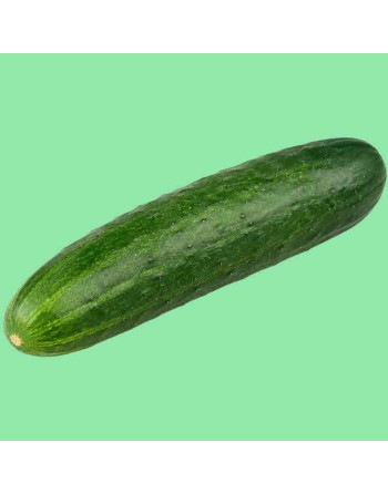 Marketmore 70 Long Pickling Cucumber Seeds - [ Shop Canadian Seeds Online ]  - Cucumber - 
