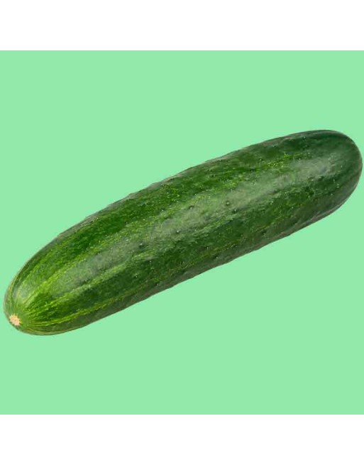 Marketmore 70 Long Pickling Cucumber Seeds - [ Shop Canadian Seeds Online ]  - Cucumber - 