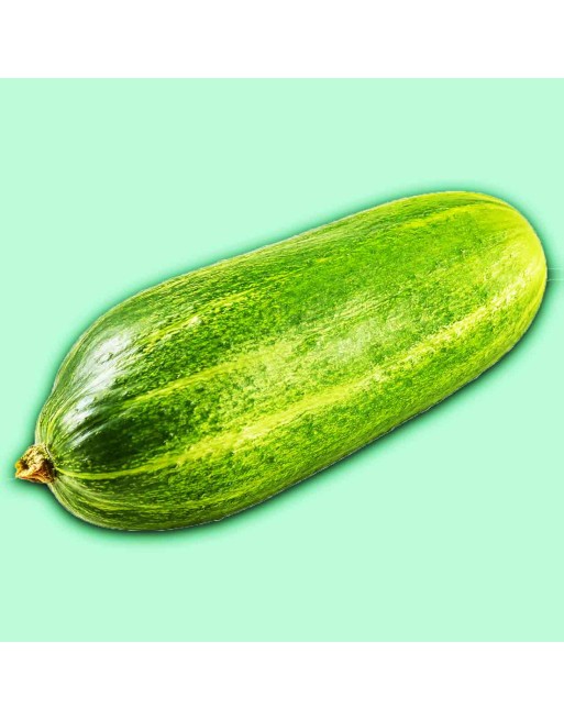 Carosello Barese, Cucumber Seeds, Bari, Italy, Puglia - [ Shop Canadian Seeds Online ]  - Cucumber - 