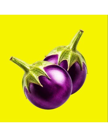 Baby Round Purple Dwarf Eggplant, Mini Eggplant Seeds - [ Shop Canadian Seeds Online ]  - Eggplant - 