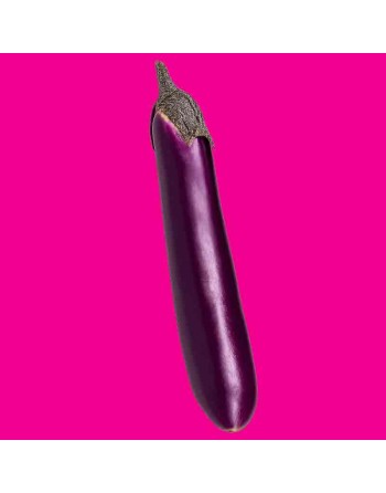 Asian Pingtung Eggplant, Ping Tung Long Eggplant, Taiwan - [ Shop Canadian Seeds Online ]  - Eggplant - 