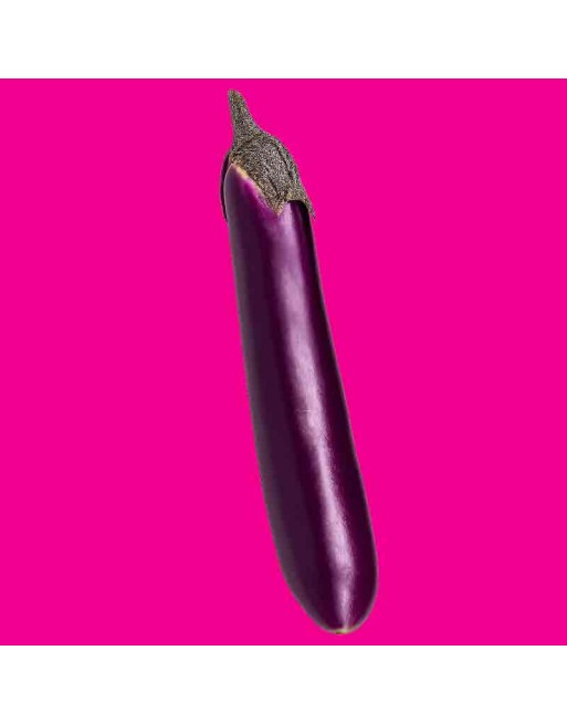 Asian Pingtung Eggplant, Ping Tung Long Eggplant, Taiwan - [ Shop Canadian Seeds Online ]  - Eggplant - 