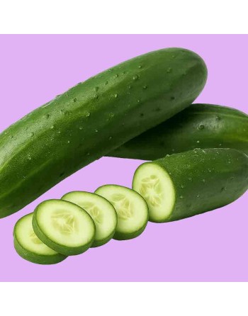 No.1 Pickling Cucumber, Wisconsin SMR 58, Cucumber, Garden Pickle - [ Shop Canadian Seeds Online ]  - Cucumber - 