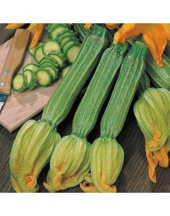 Costata Romanesco Zucchini, Italian Ribbed Zucchini - [ SEED2GO.CA] - V-ZRS - Zucchini